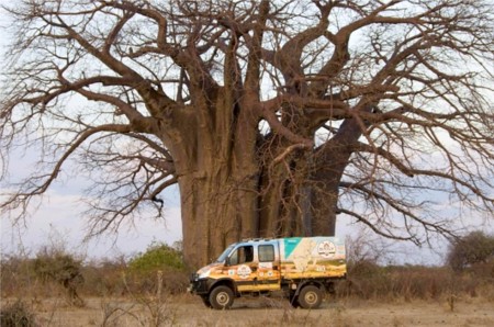 iveco daily in africa