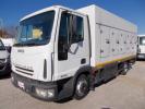 65E15 Eurocargo 10 SPORTELLI+PORTE