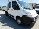 FIAT DUCATO 6+1  con Cassone Fisso