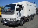 Nissan Cabstar Surgelati